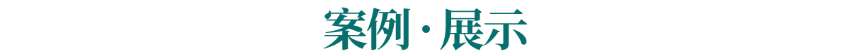 案例展示